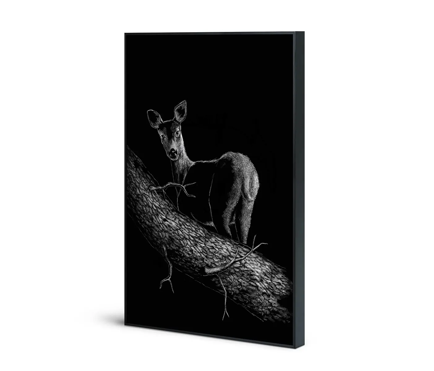 NC Design Group® - Acousticframe | NCD-SPR06-AF