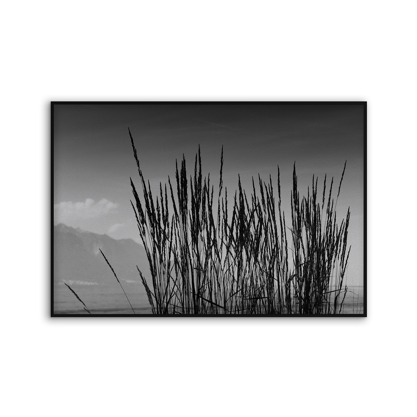 Acousticframe | NCD-TBK01-AF