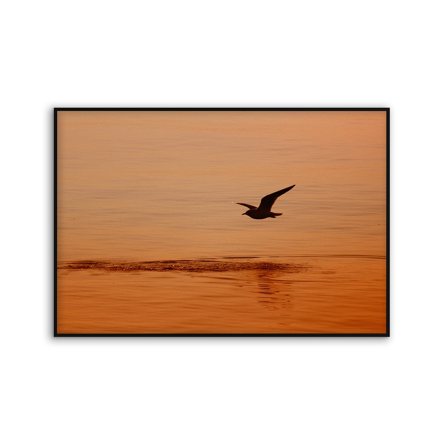 Acousticframe | NCD-TBK02-AF