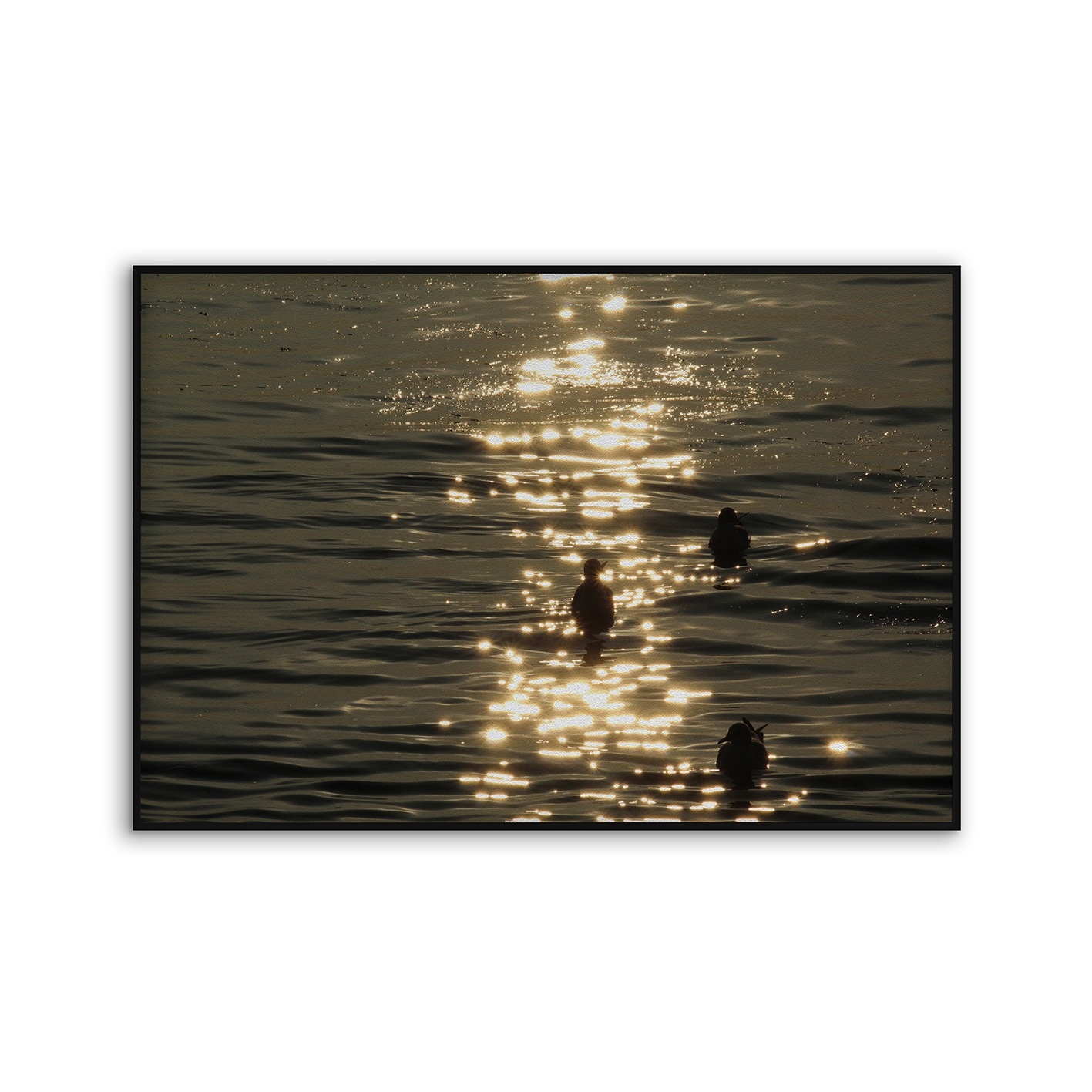 Acousticframe | NCD-TBK08-AF