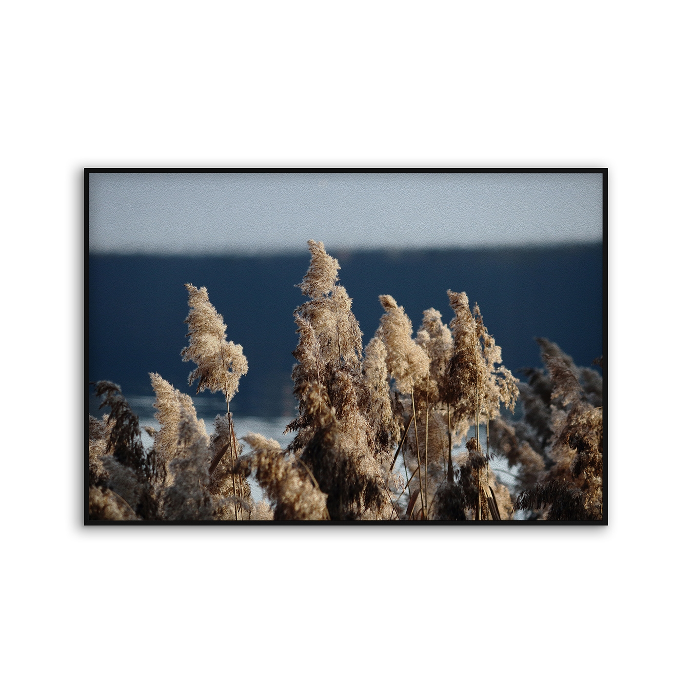 Acousticframe | NCD-TBK09-AF