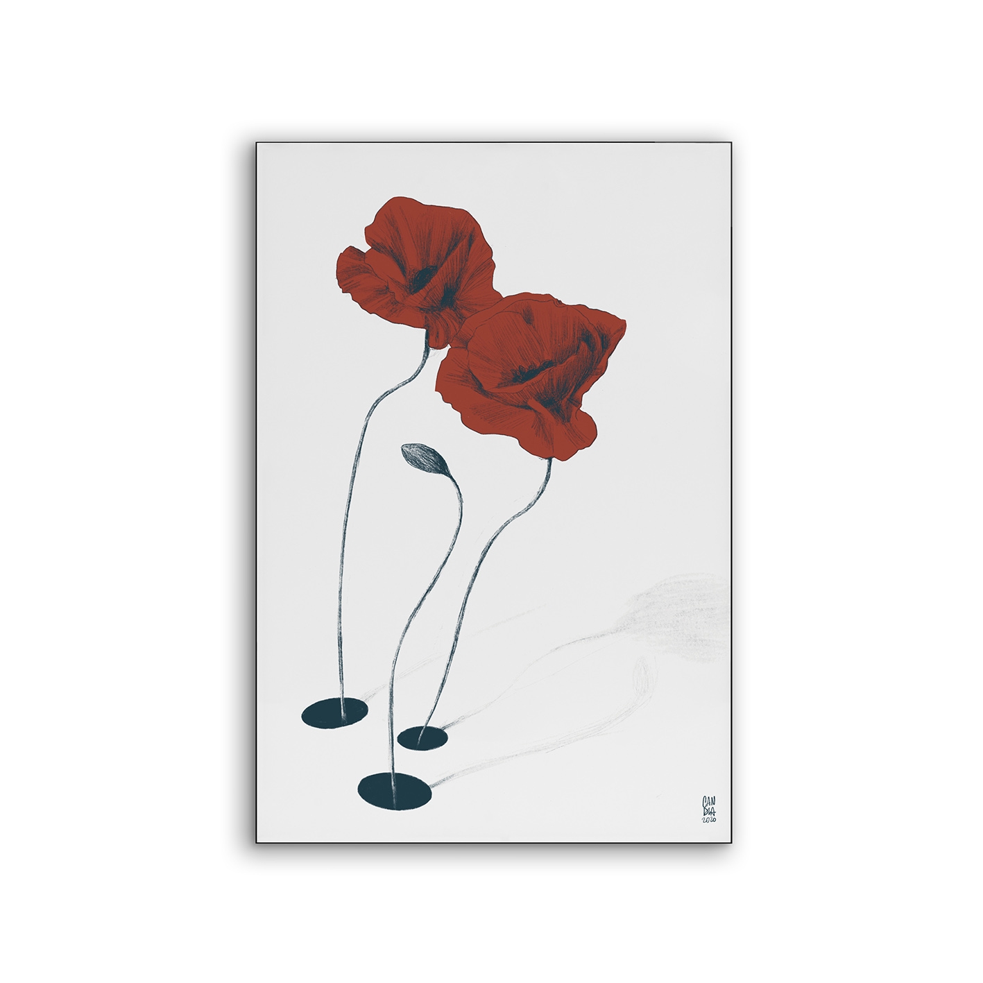 Airframe | NCD-CCS09-AR