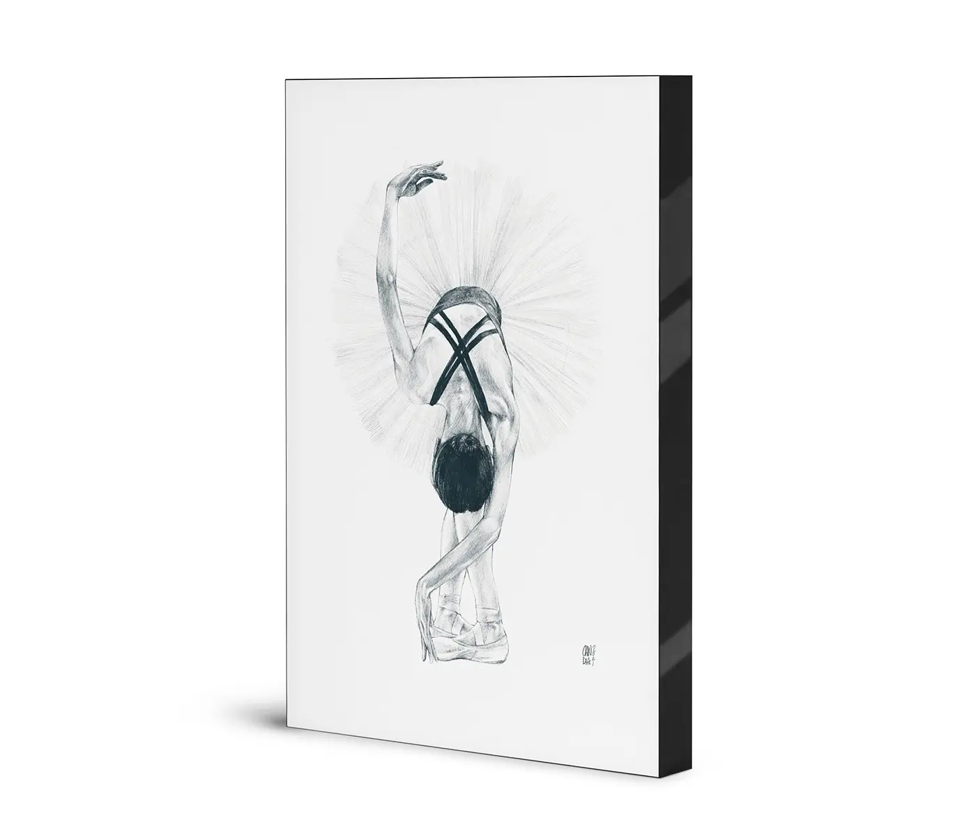 NC Design Group® - Airframe | NCD-CCS10-AR