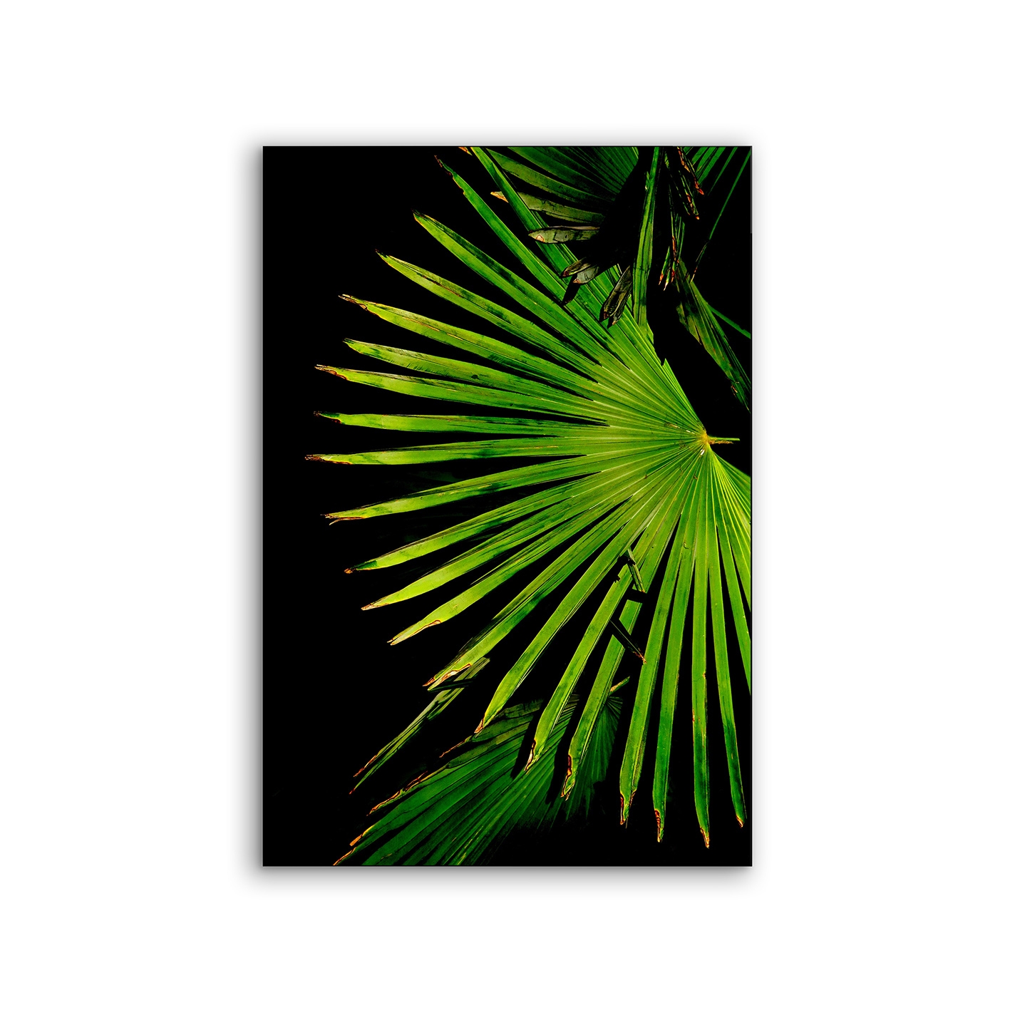 Airframe | NCD-EBG11-AR