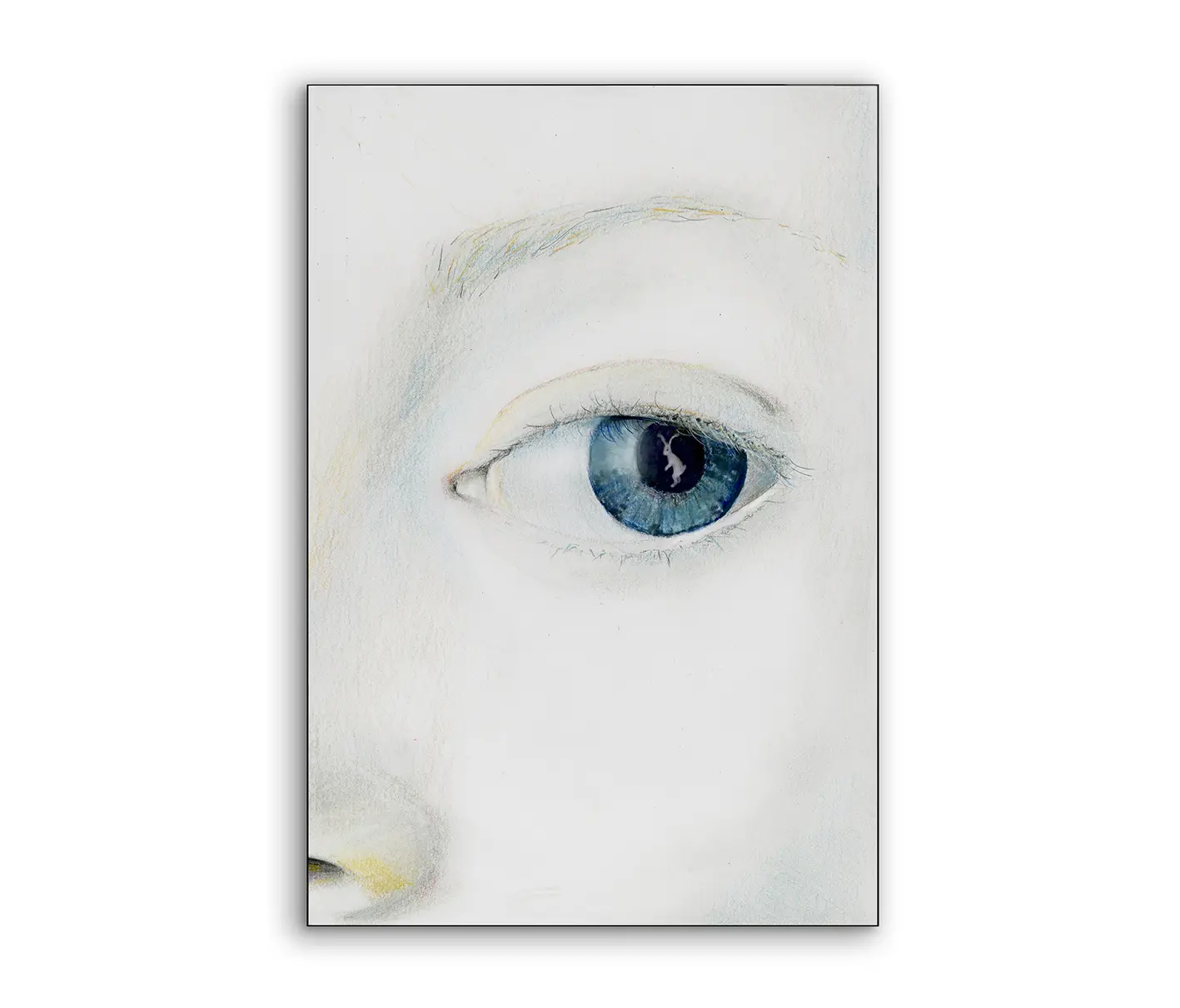 NC Design Group® - Airframe | NCD-IBC02-AR