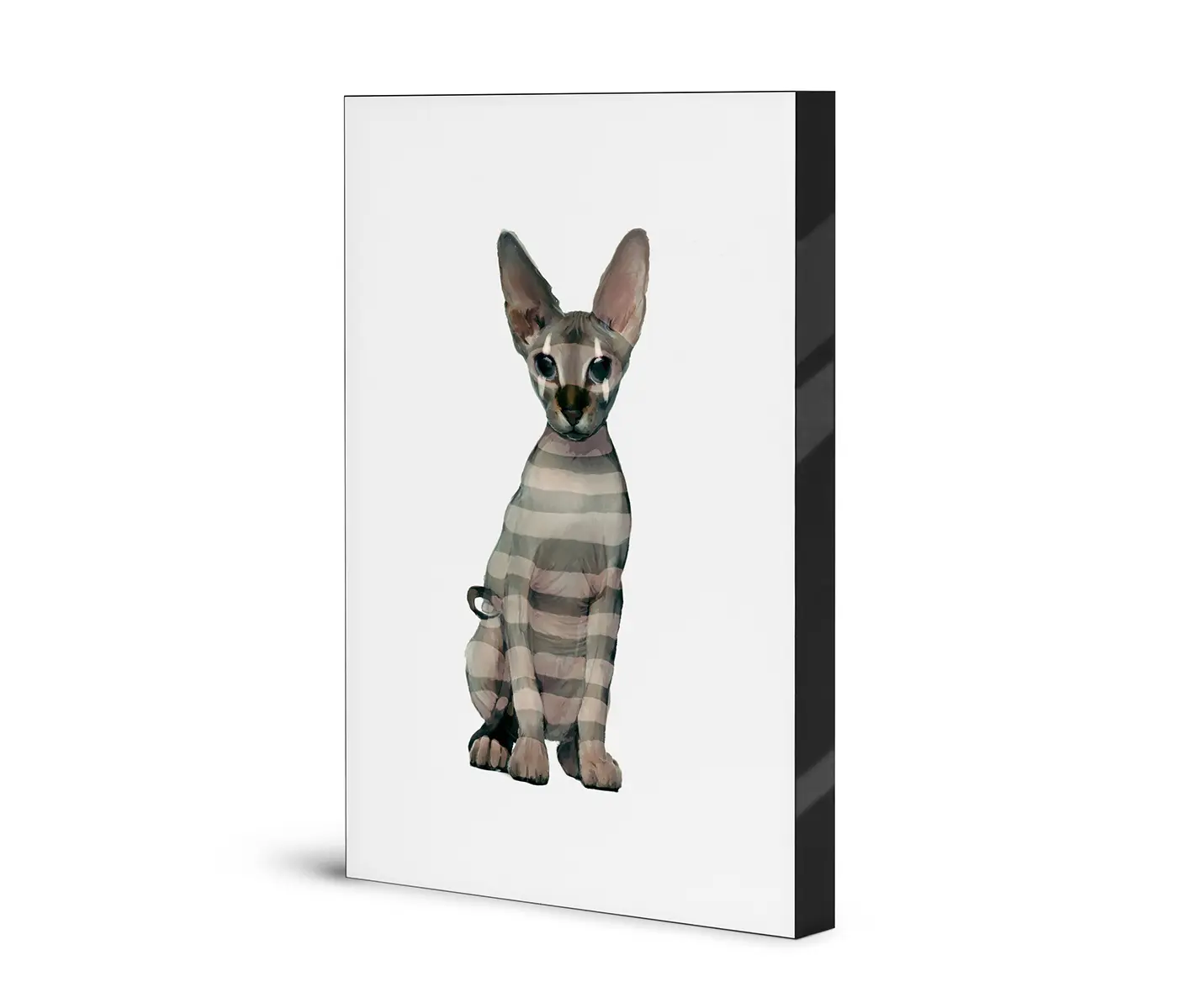 NC Design Group® - Airframe | NCD-IGP05-AR