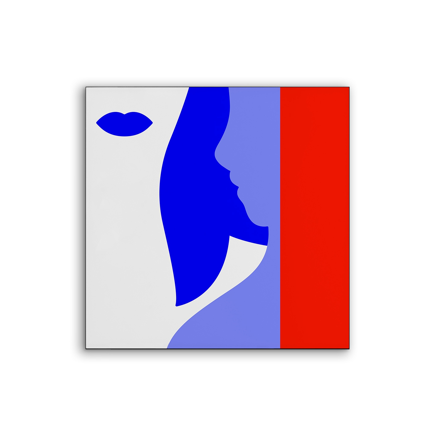 Airframe | NCD-LBH02-AR