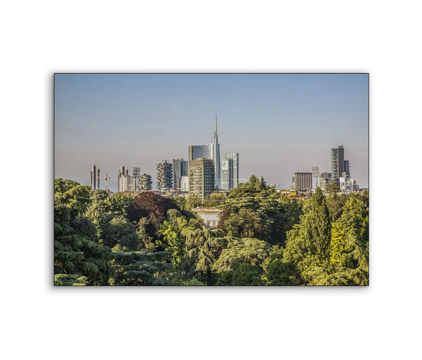 NC Design Group® - Airframe | NCD-LST02-AR