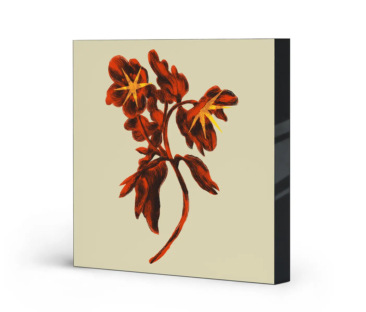 NC Design Group® - Airframe | NCD-NDT01-AR