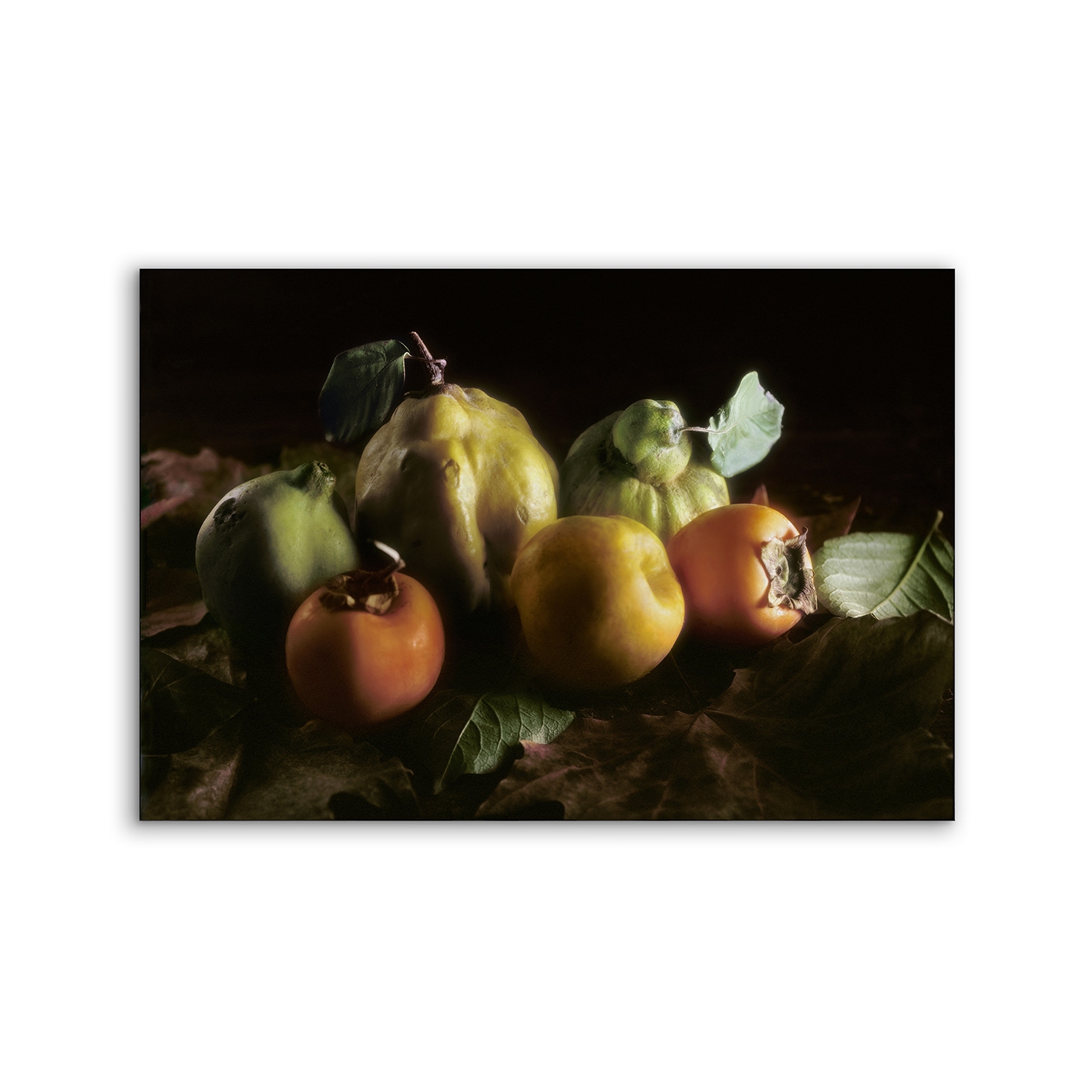 Airframe | NCD-RNC02-AR