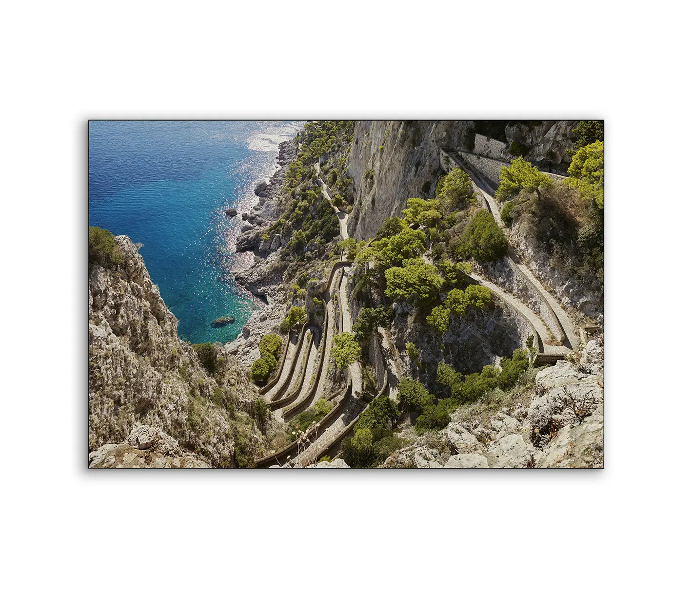 NC Design Group® - Airframe | NCD-RNC03-AR