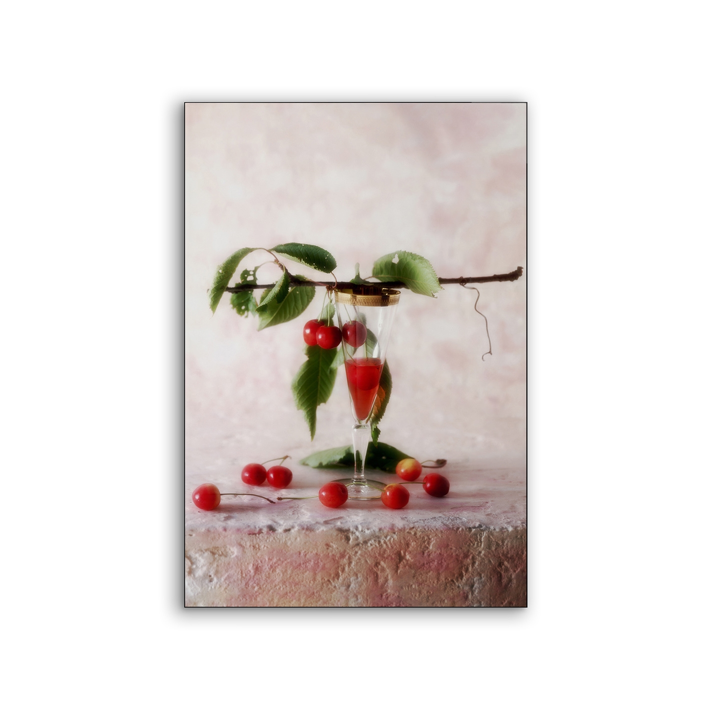 Airframe | NCD-RNC04-AR