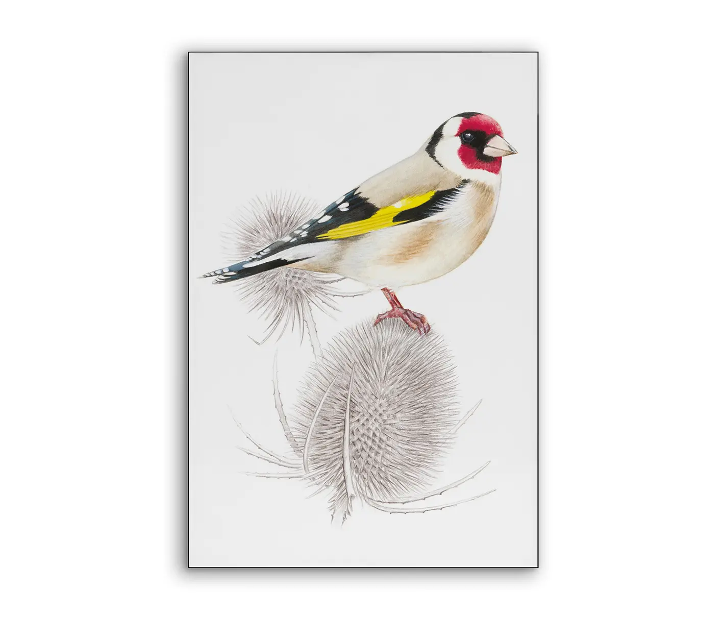 NC Design Group® - Airframe | NCD-SLU05-AR