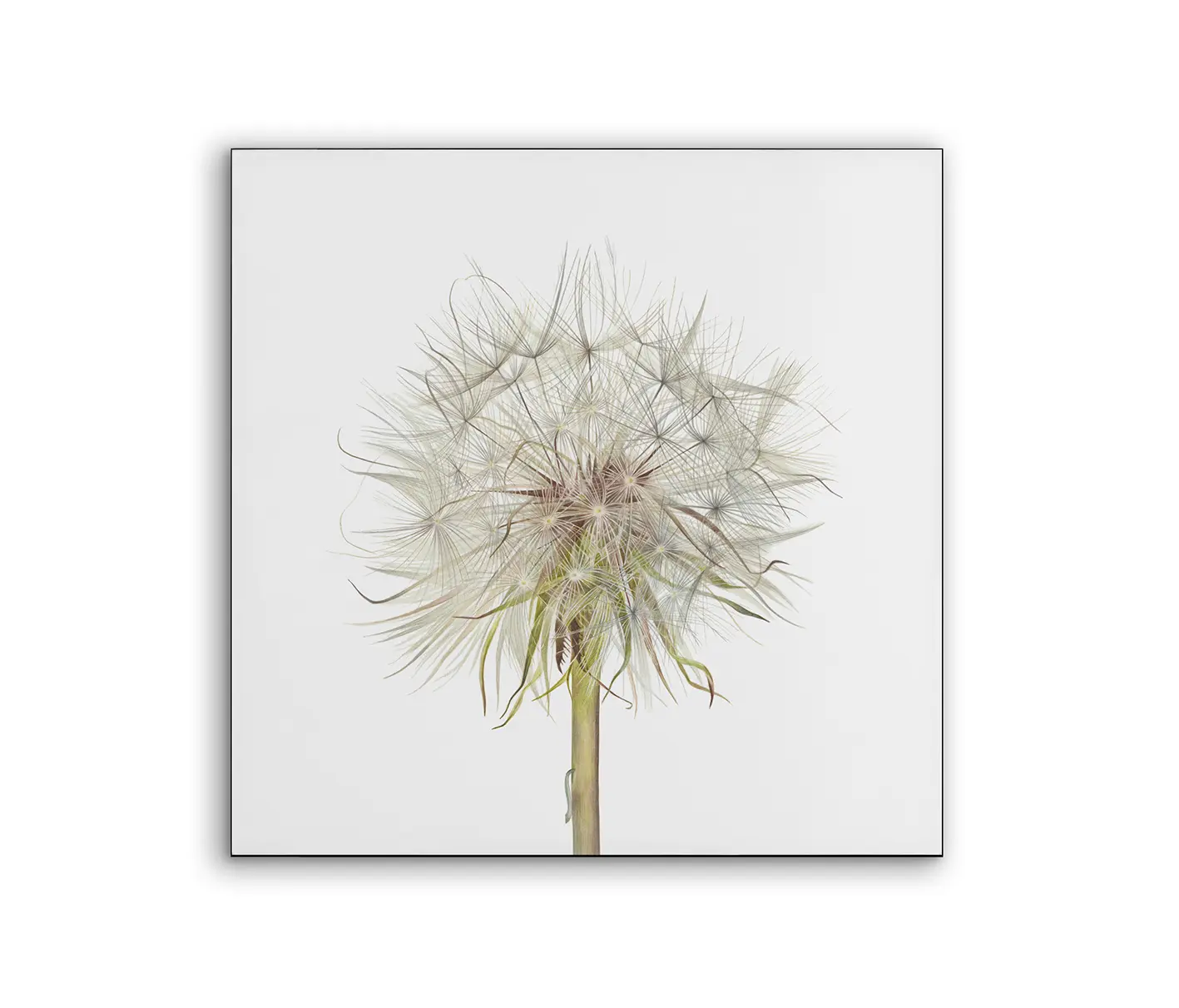 NC Design Group® - Airframe | NCD-SLU12-AR