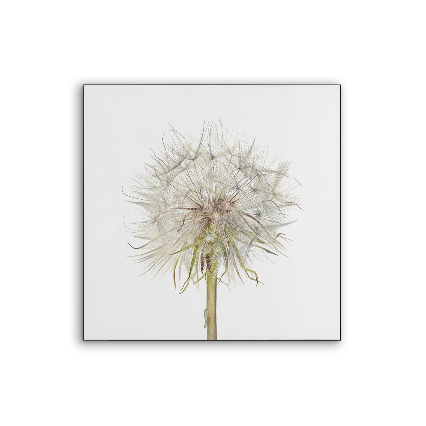 Airframe | NCD-SLU12-AR