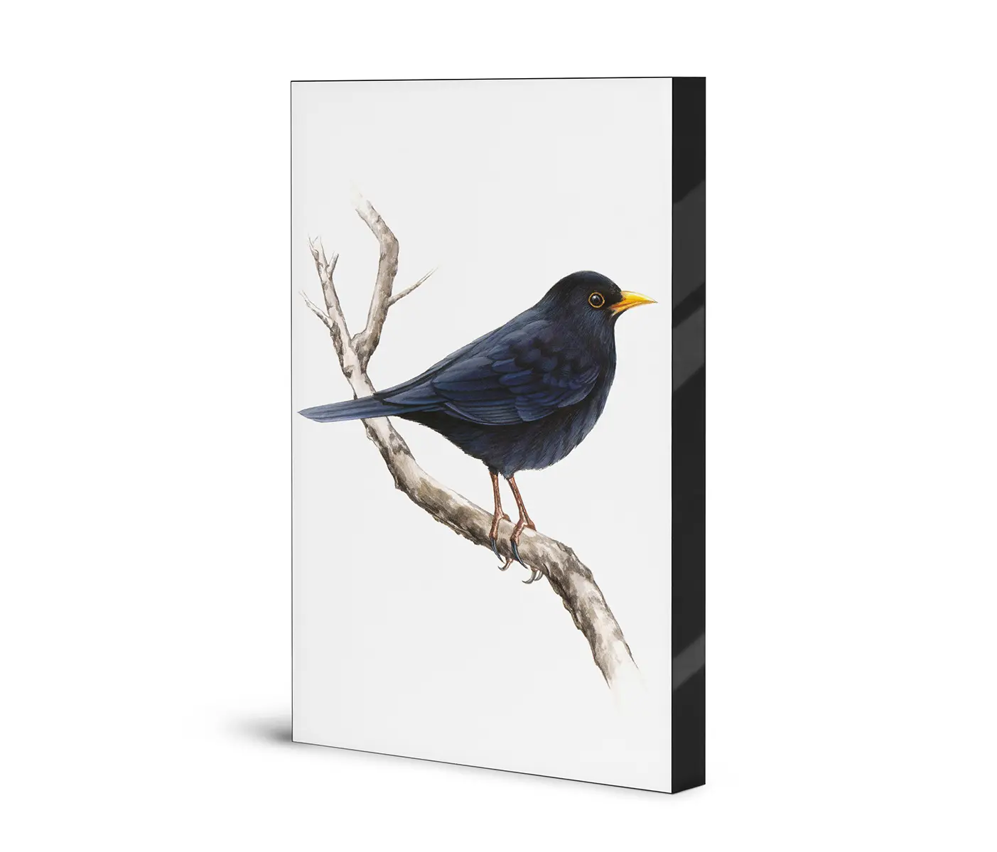 NC Design Group® - Airframe | NCD-SLU13-AR