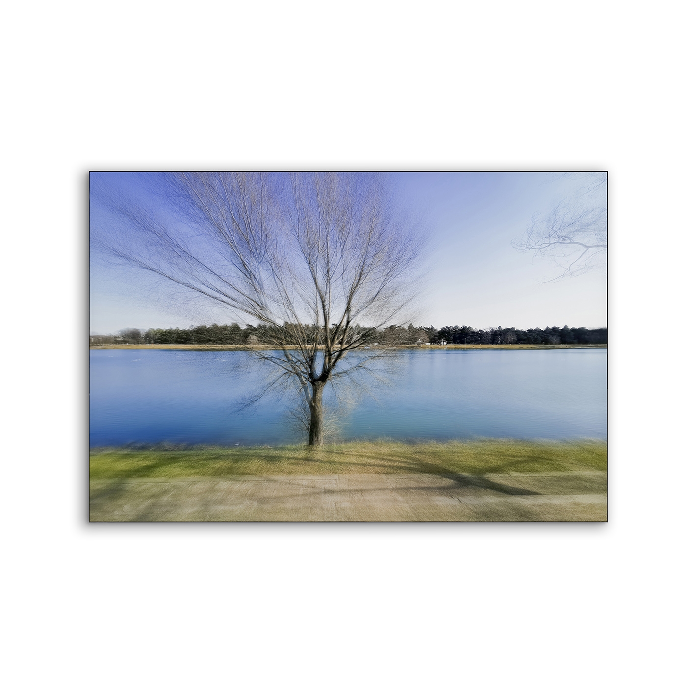 Airframe | NCD-SLV11-AR