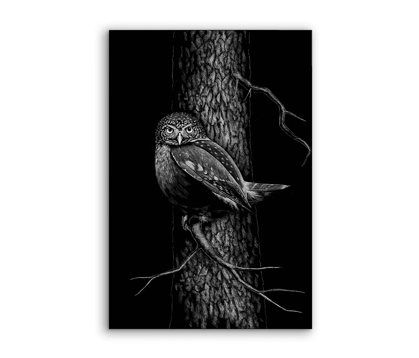 NC Design Group® - Airframe | NCD-SPR01-AR