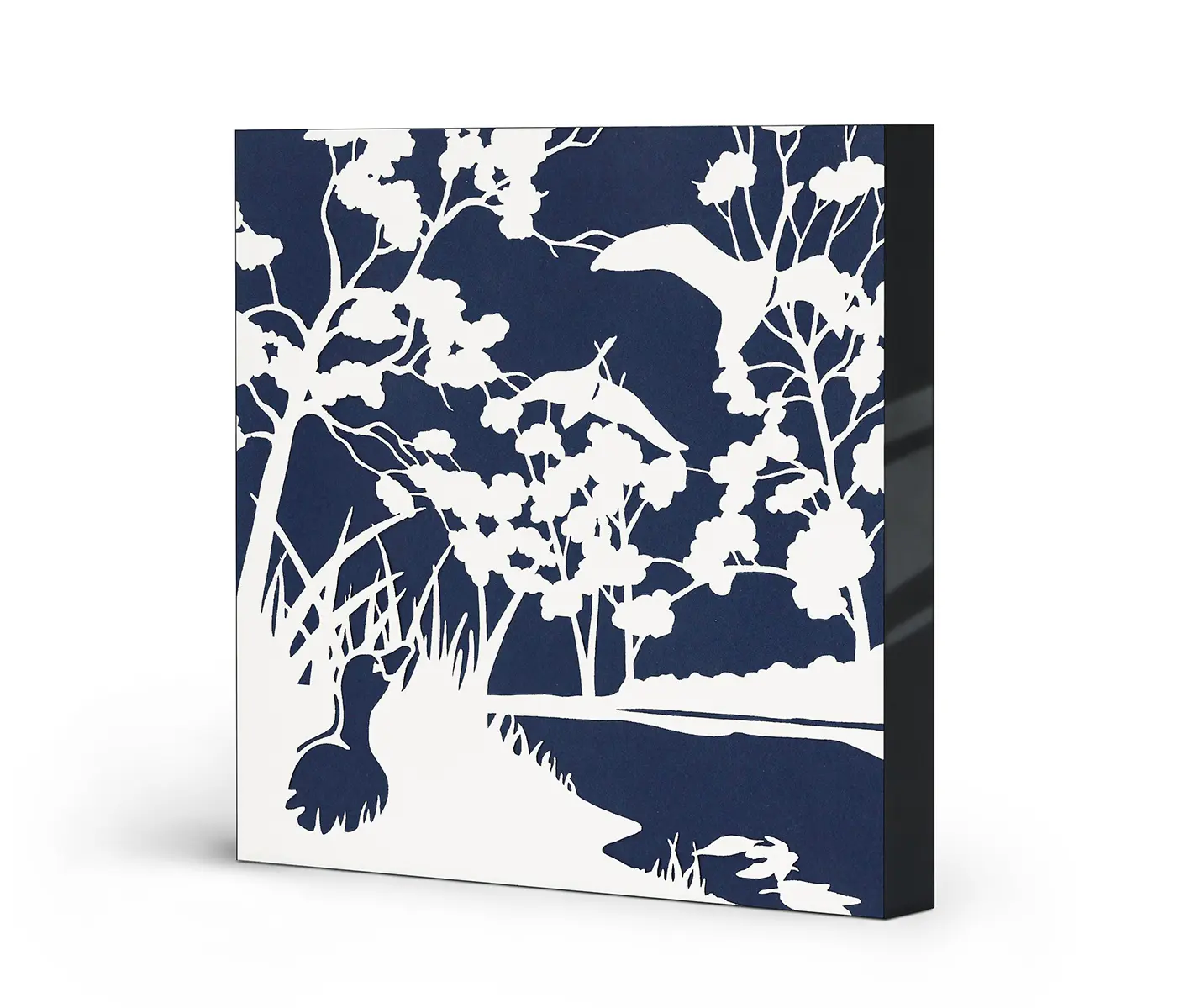 NC Design Group® - Airframe | NCD-SPR02-AR