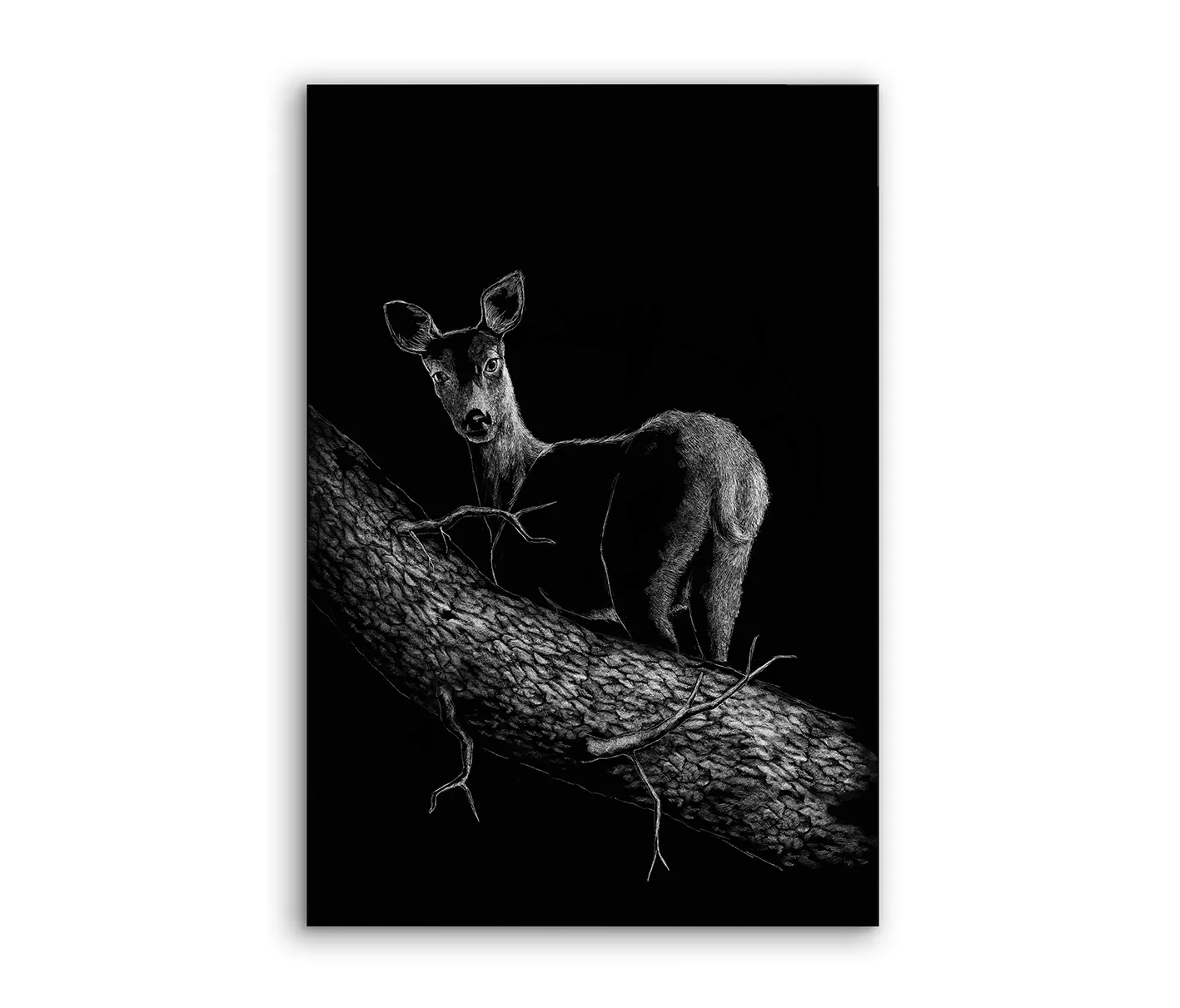 NC Design Group® - Airframe | NCD-SPR06-AR