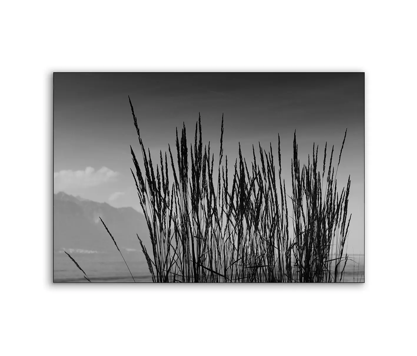 NC Design Group® - Airframe | NCD-TBK01-AR