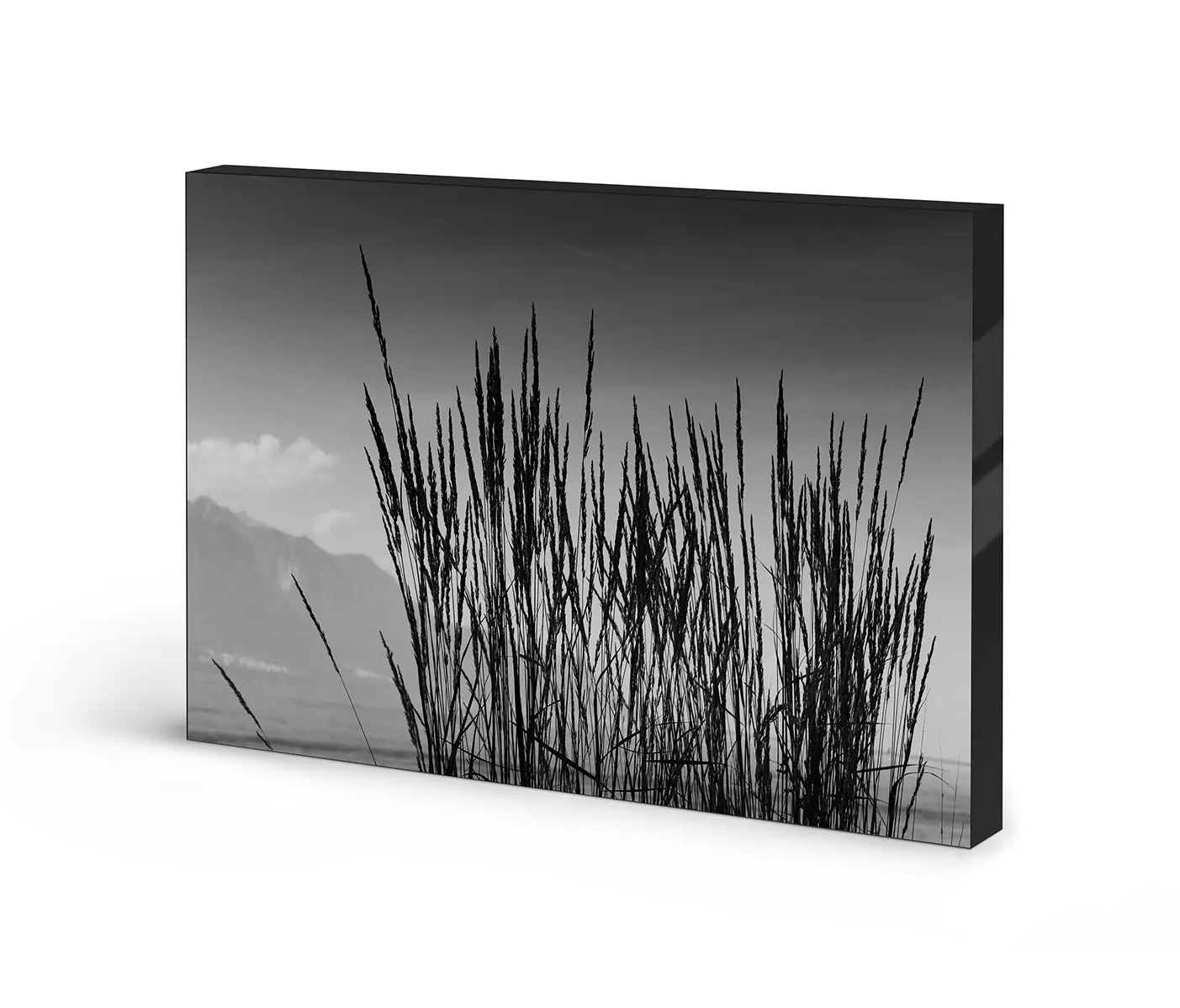 NC Design Group® - Airframe | NCD-TBK01-AR