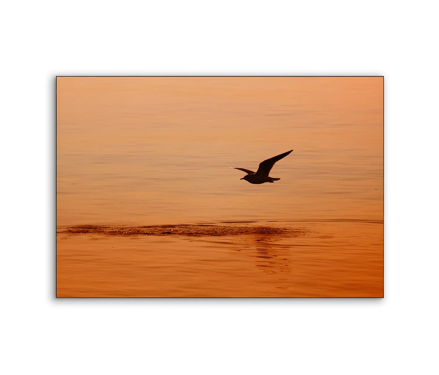 NC Design Group® - Airframe | NCD-TBK02-AR