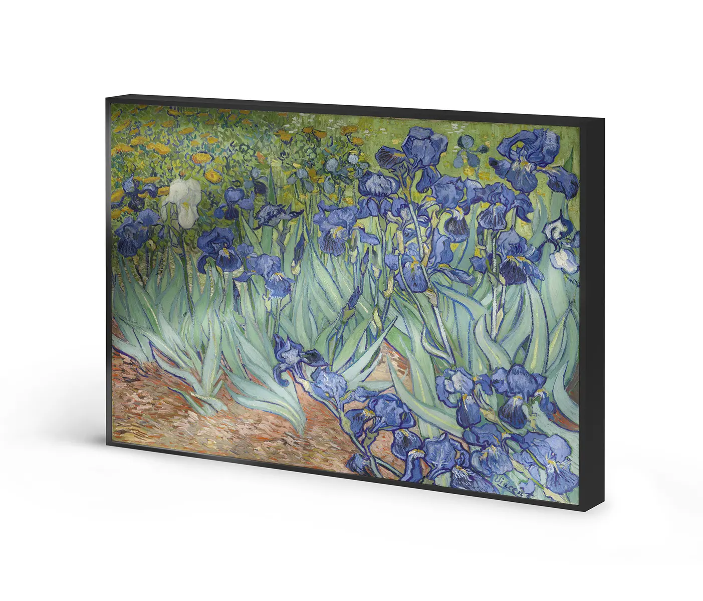 NC Design Group® - Allurex | NCD-BGM12-AL