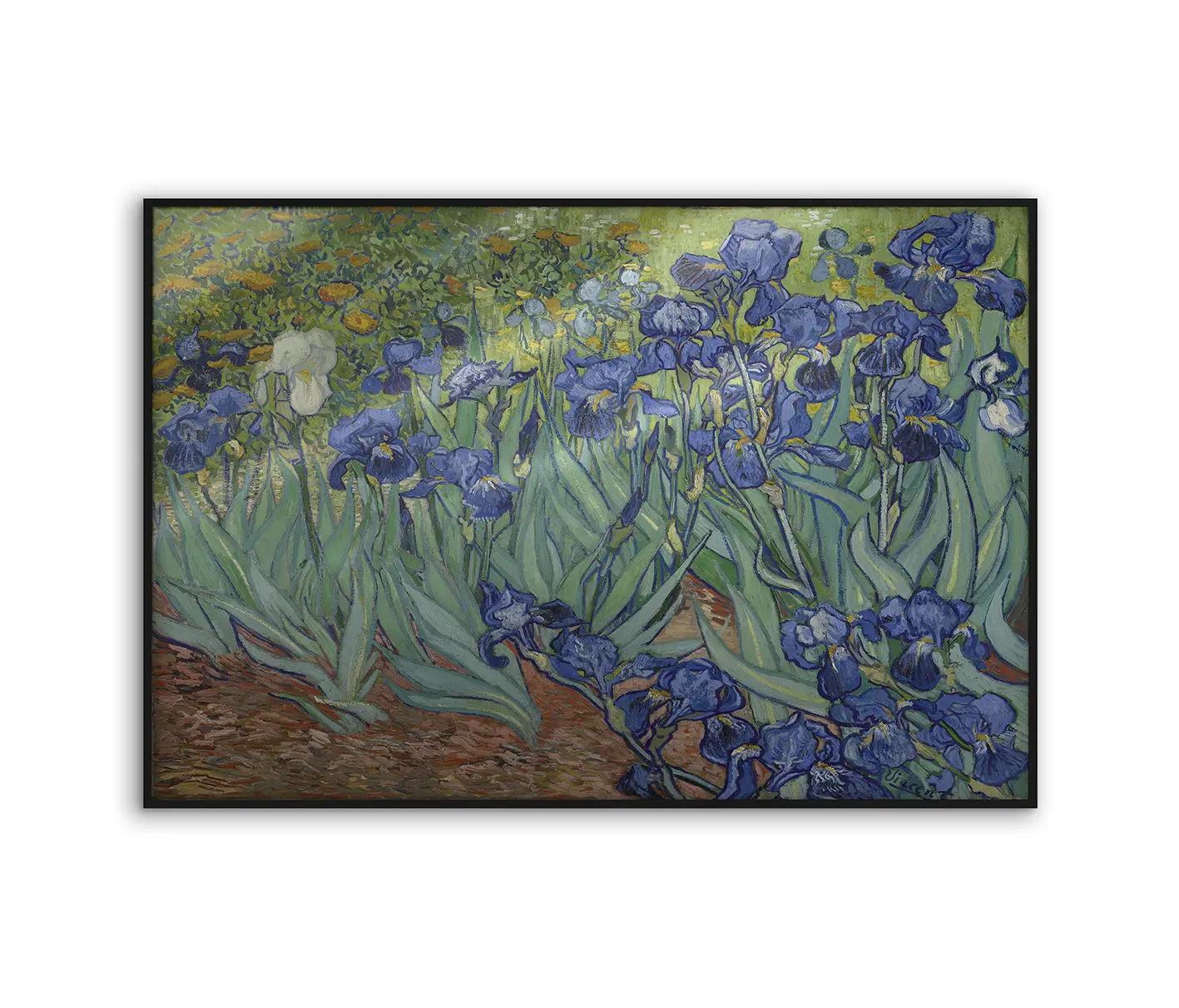 NC Design Group® - Allurex | NCD-BGM12-AL