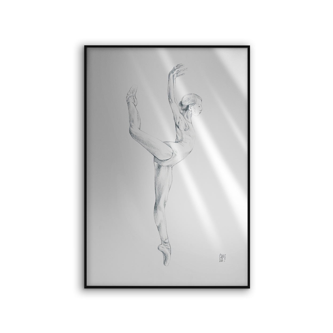 Allurex | NCD-CCS03-AL