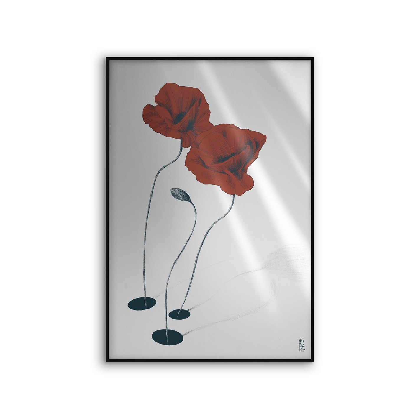 Allurex | NCD-CCS09-AL