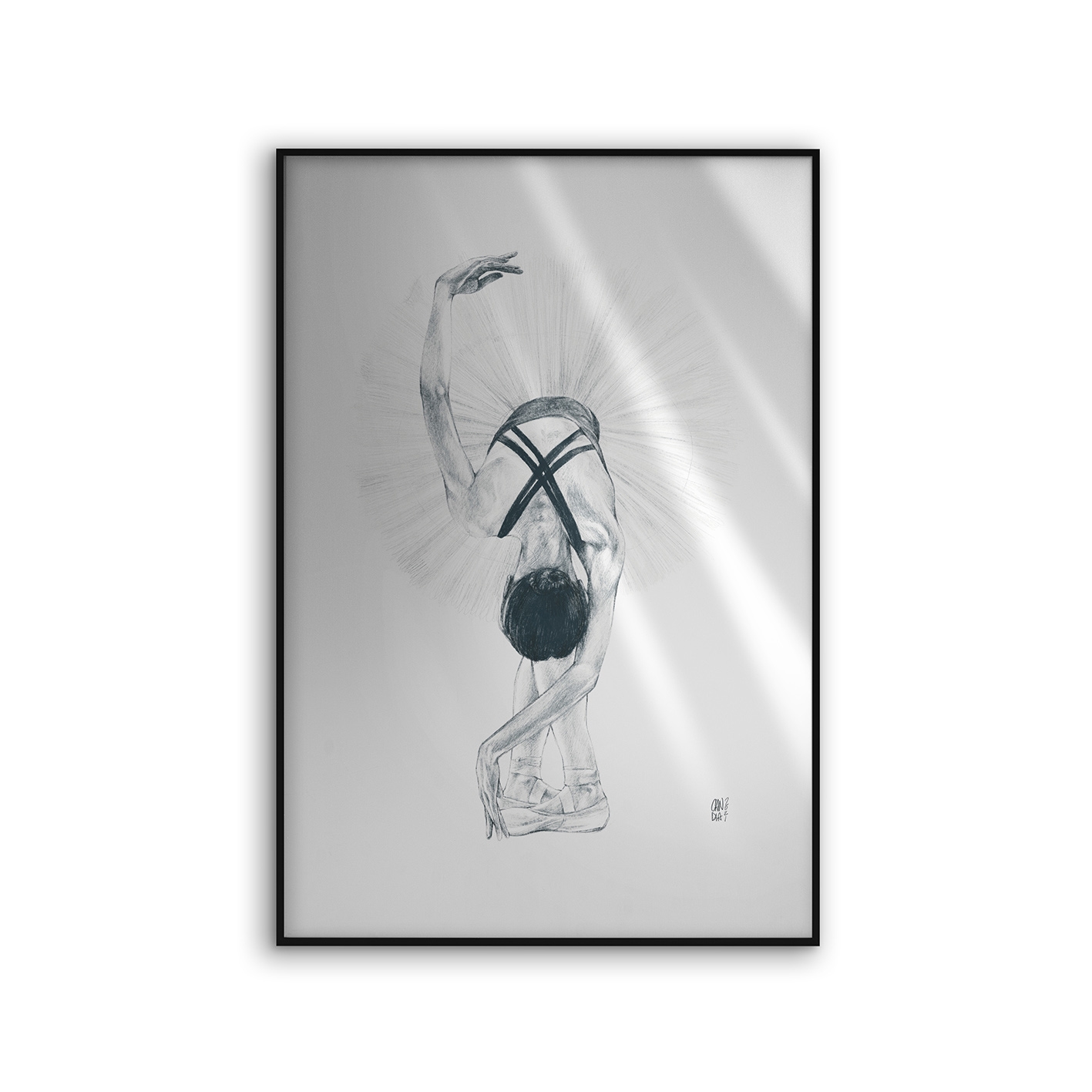 Allurex | NCD-CCS10-AL