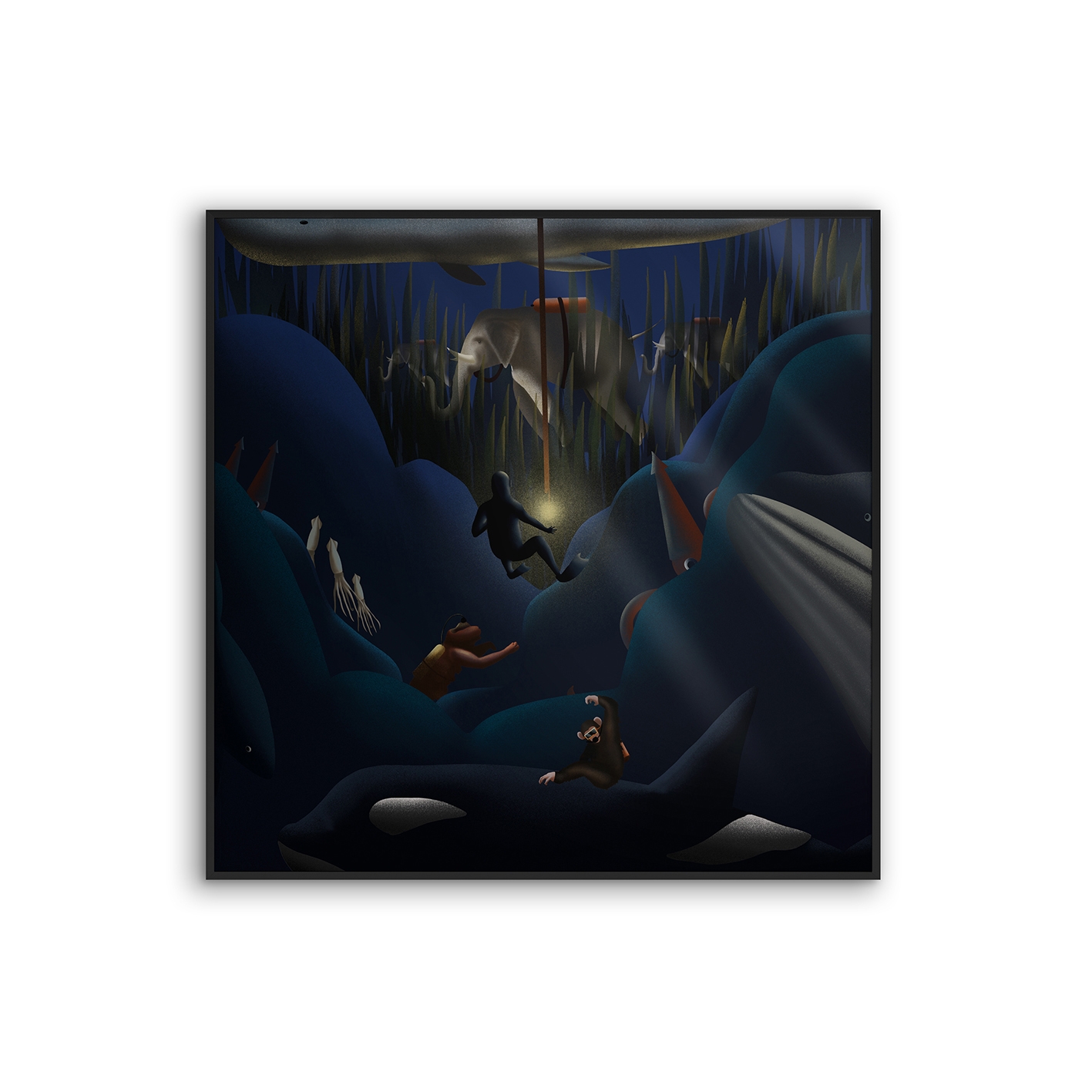Allurex | NCD-FAB01-AL