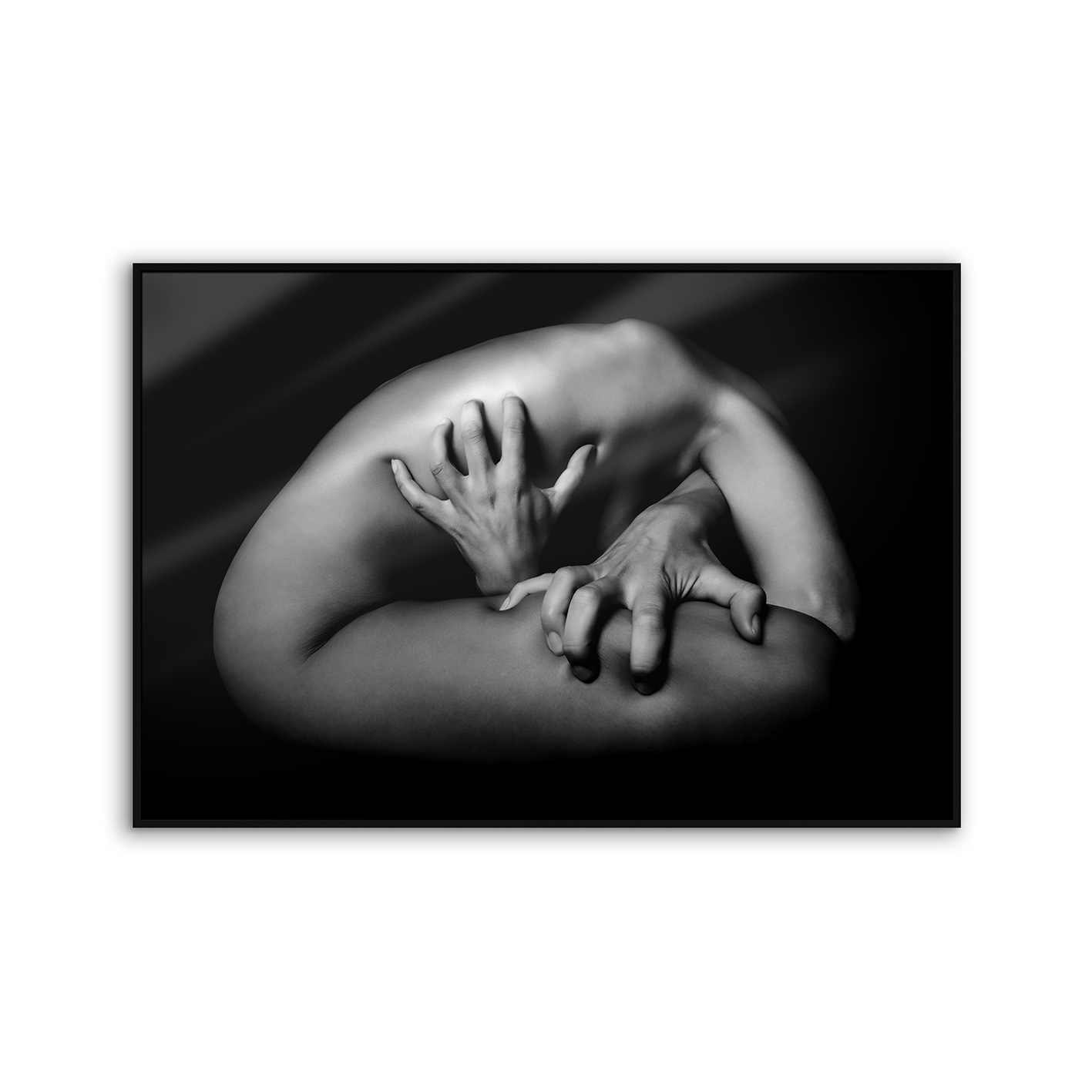 Allurex | NCD-LMO03-AL