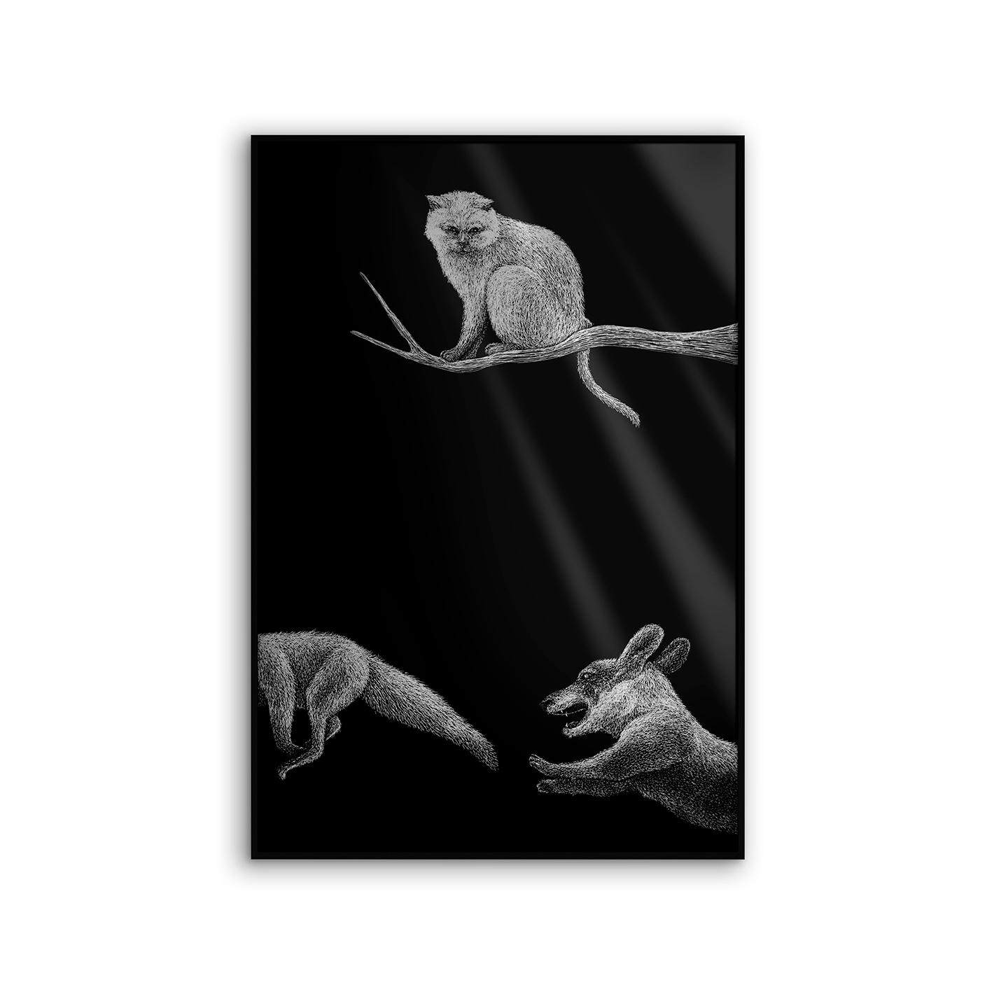 Allurex | NCD-LMR05-AL