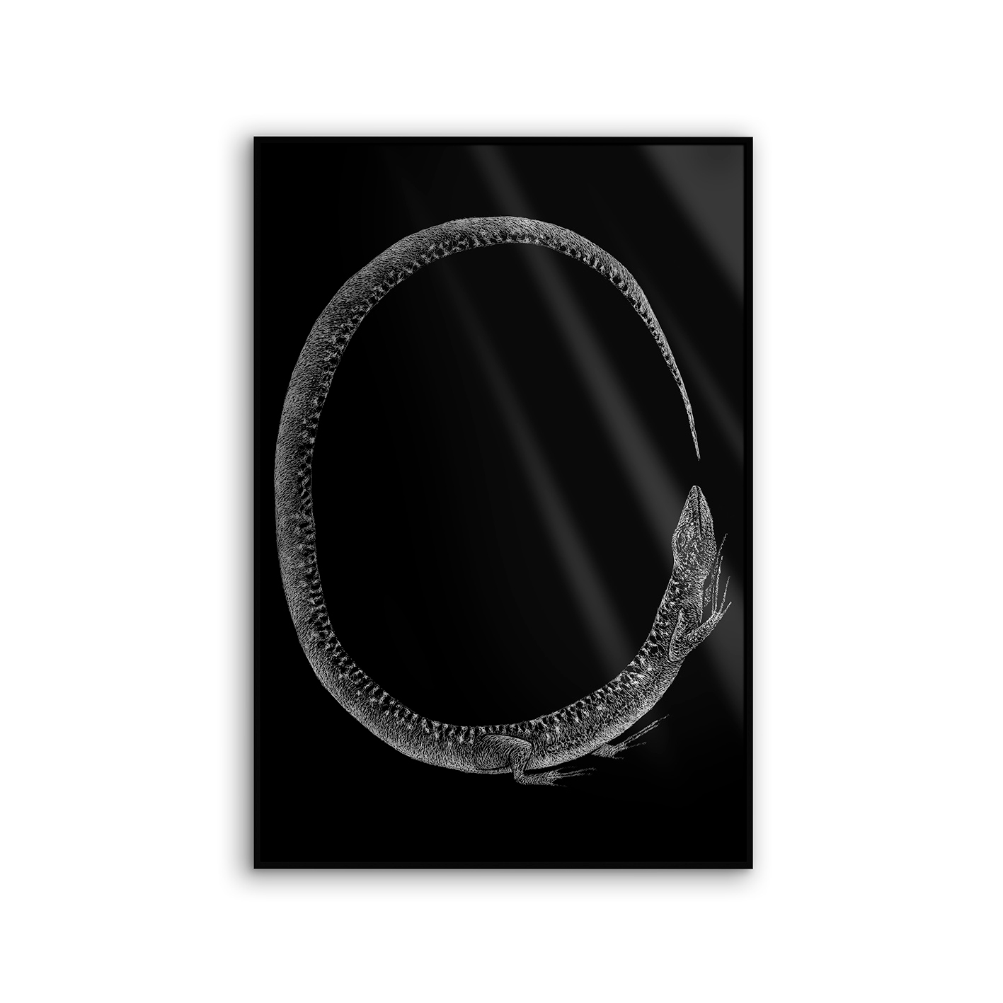 Allurex | NCD-LMR09-AL