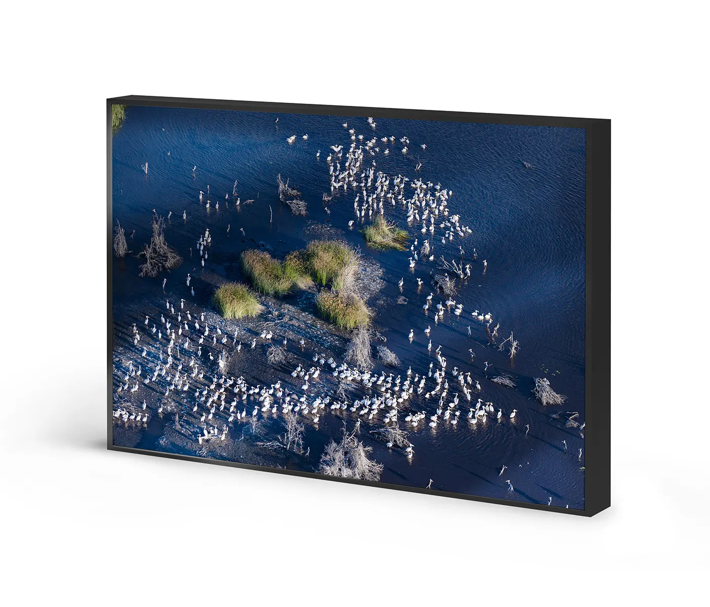 NC Design Group® - Allurex | NCD-PTZ07-AL