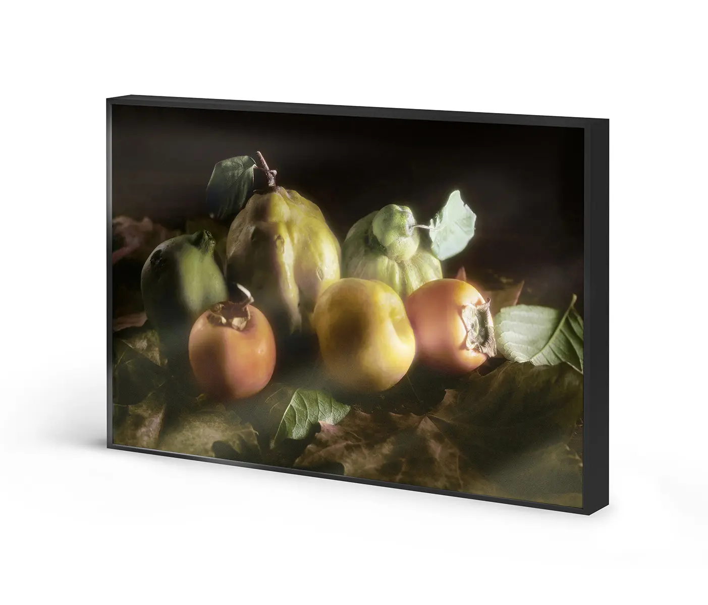 NC Design Group® - Allurex | NCD-RNC02-AL