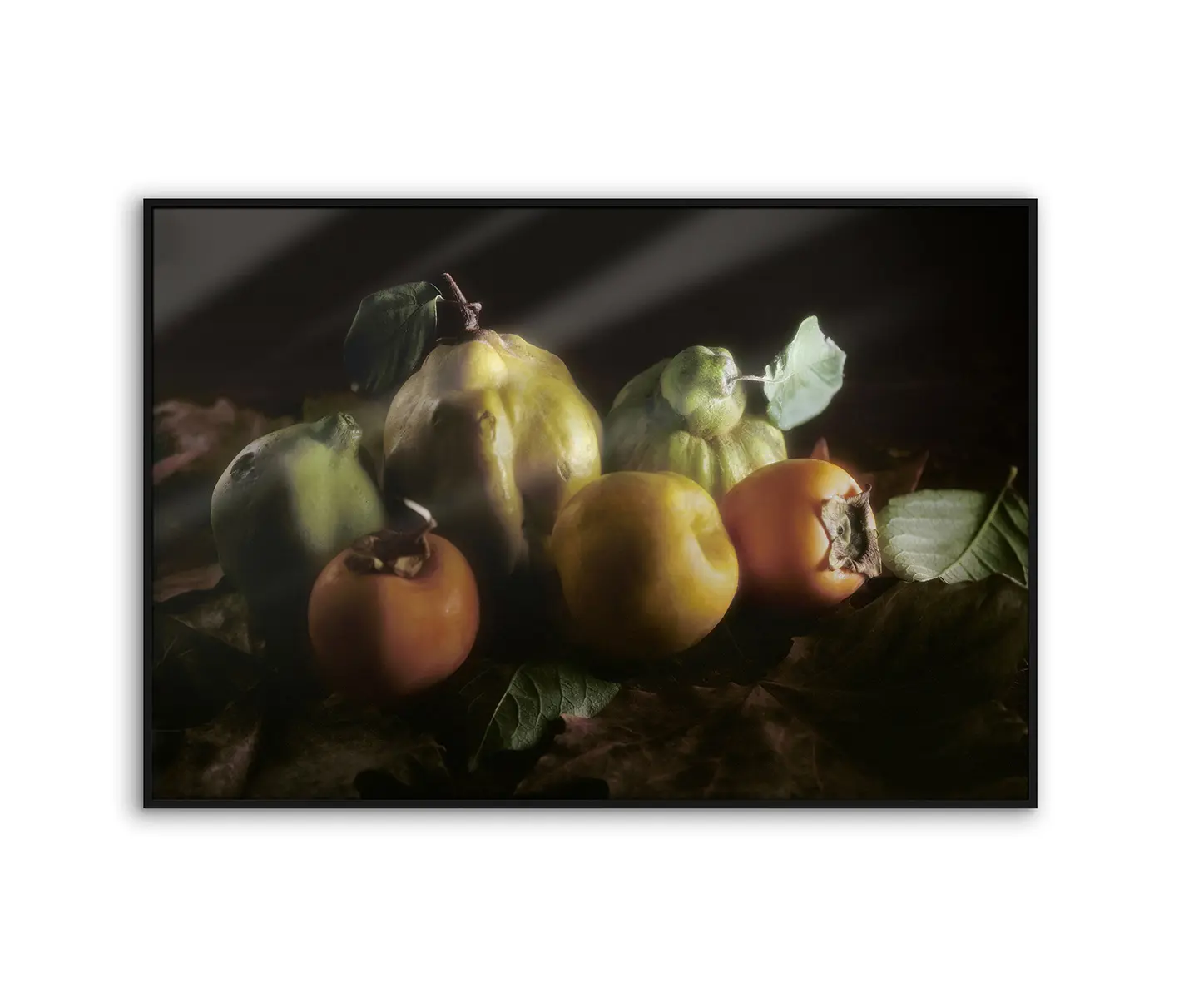 NC Design Group® - Allurex | NCD-RNC02-AL