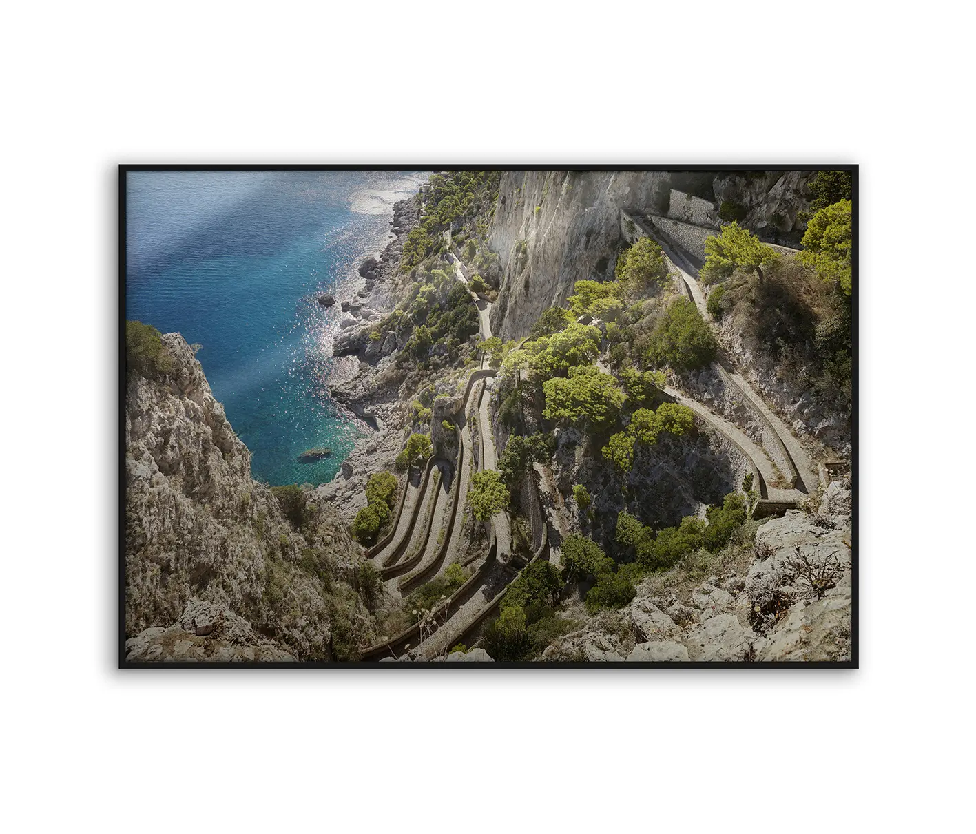 NC Design Group® - Allurex | NCD-RNC03-AL