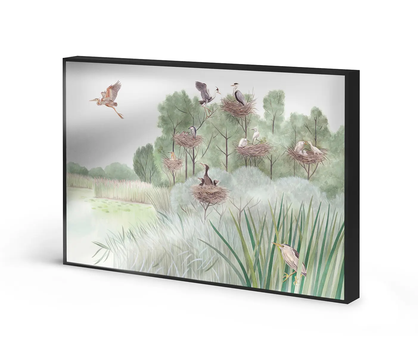 NC Design Group® - Allurex | NCD-SLU02-AL