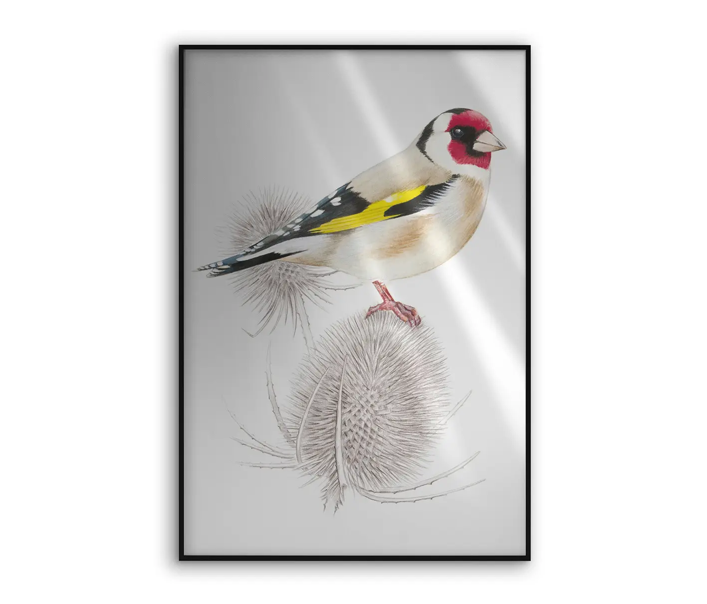 NC Design Group® - Allurex | NCD-SLU05-AL