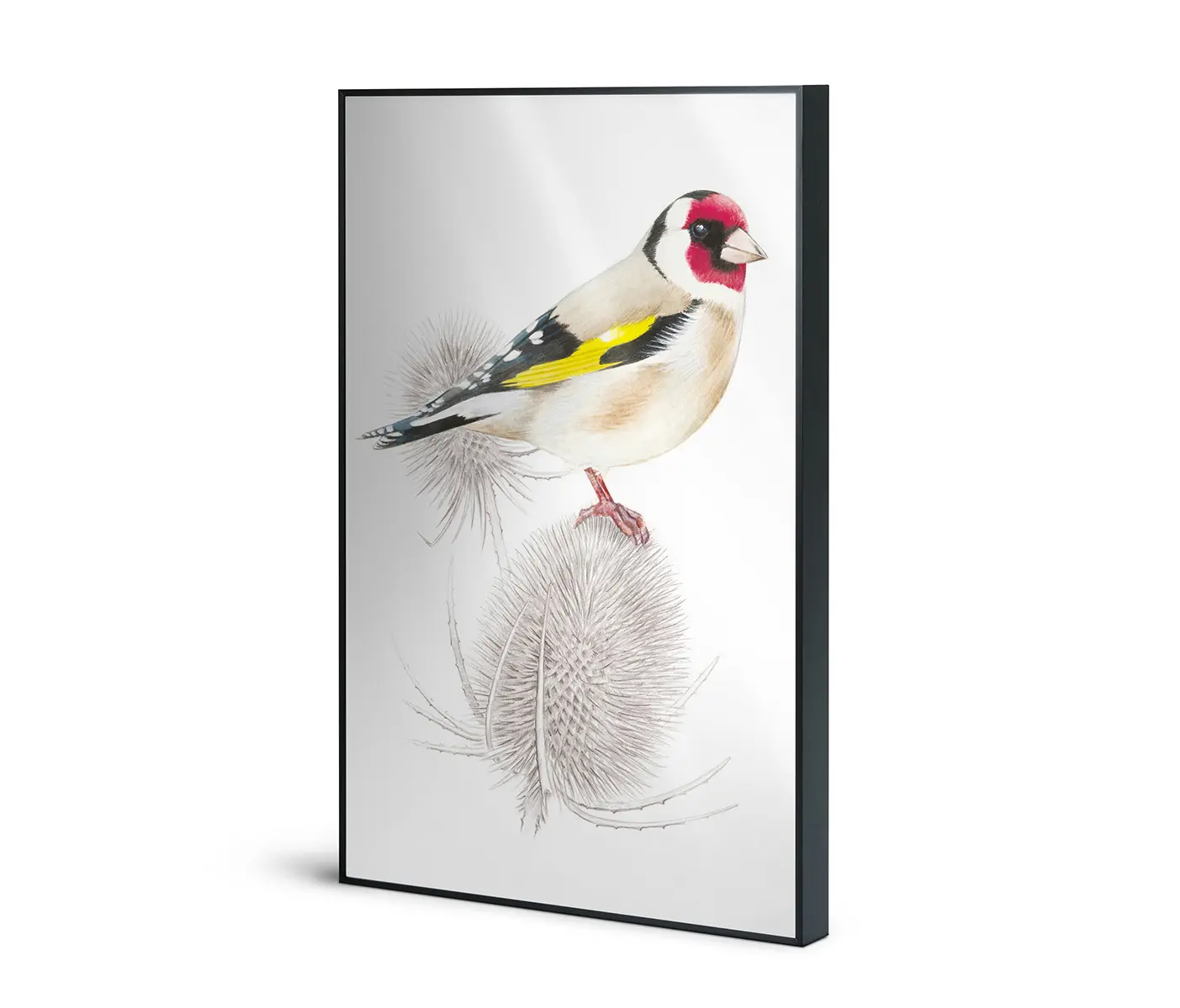 NC Design Group® - Allurex | NCD-SLU05-AL