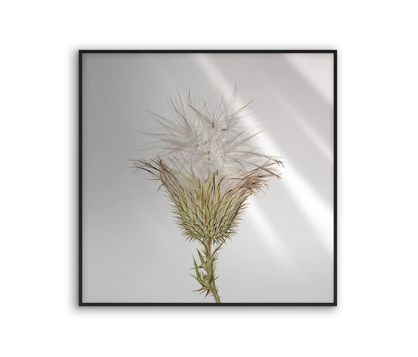 NC Design Group® - Allurex | NCD-SLU07-AL