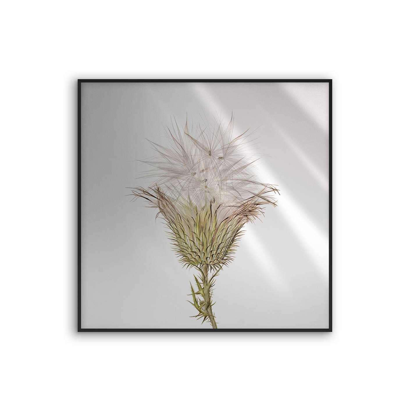 Allurex | NCD-SLU07-AL