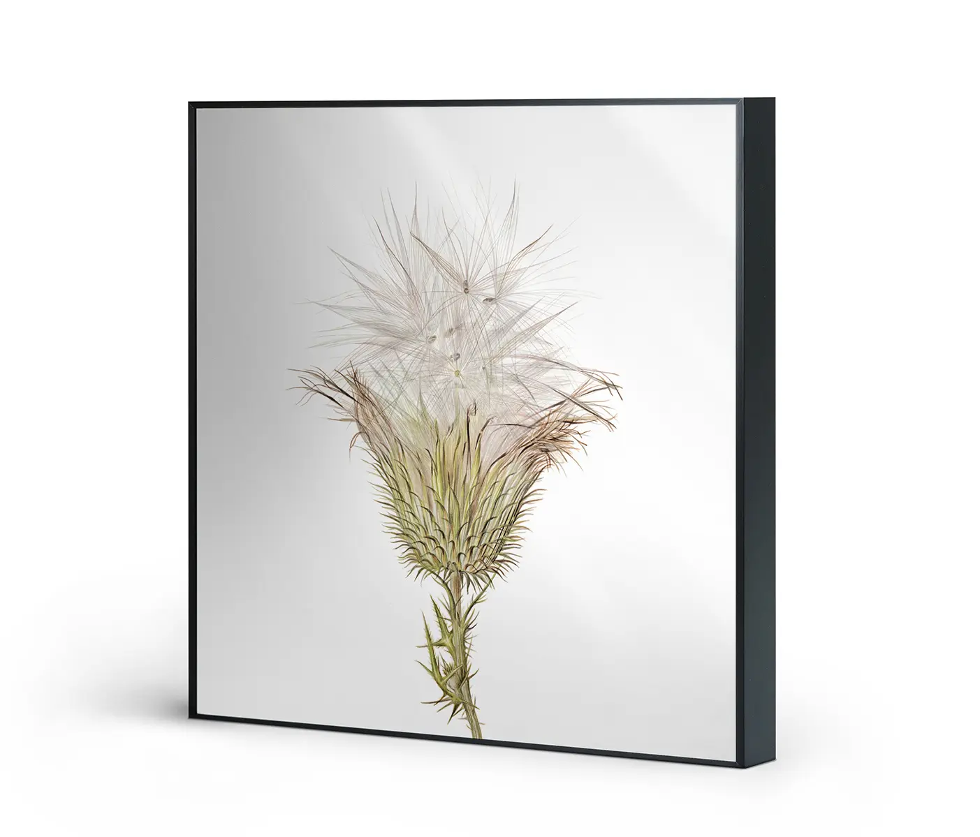 NC Design Group® - Allurex | NCD-SLU07-AL