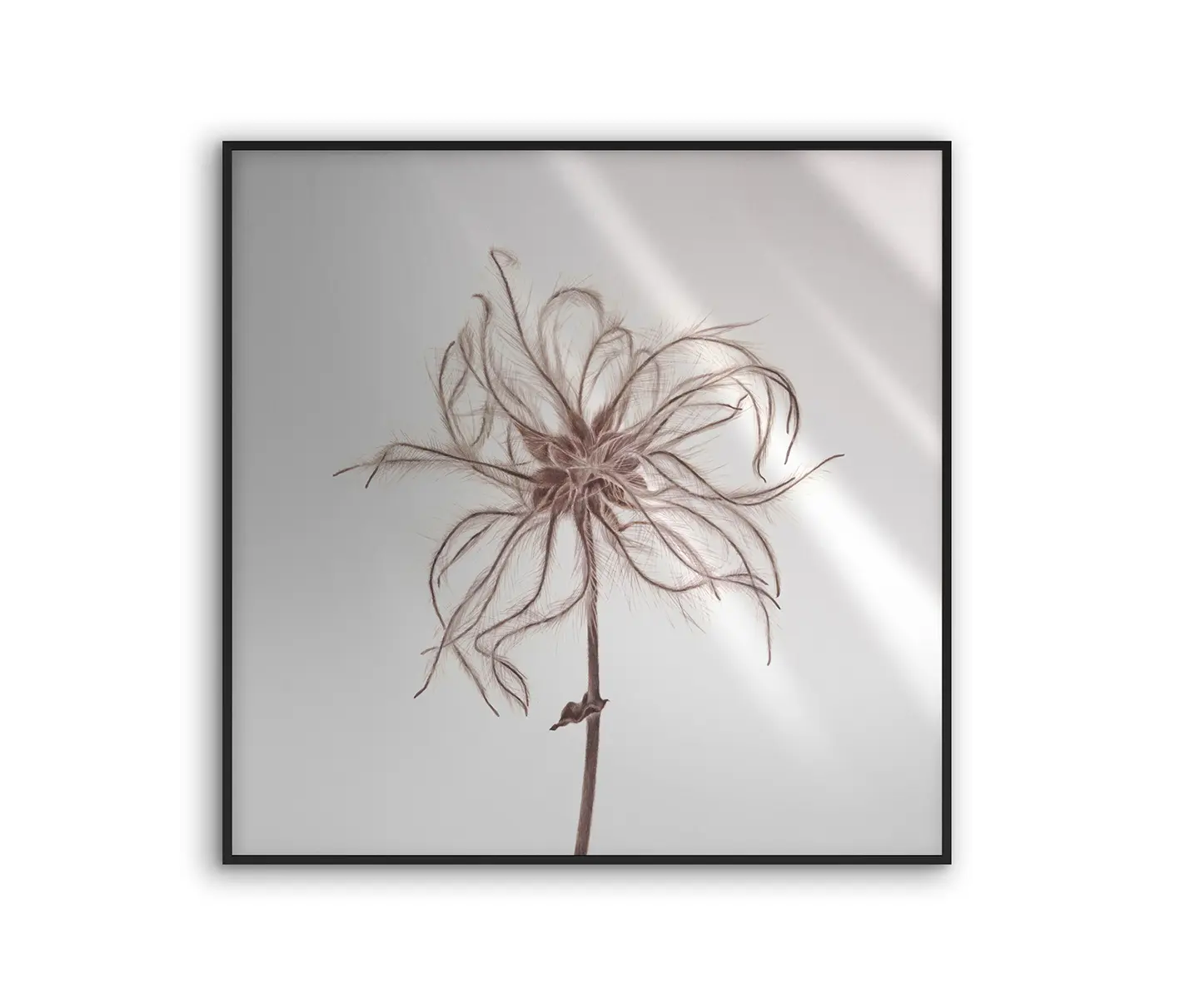 NC Design Group® - Allurex | NCD-SLU08-AL