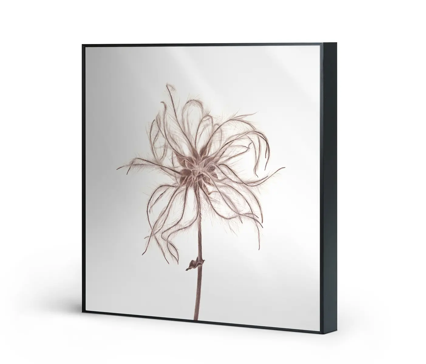NC Design Group® - Allurex | NCD-SLU08-AL