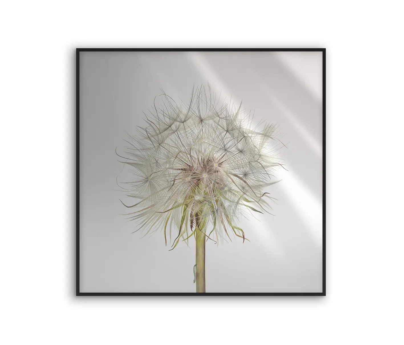 NC Design Group® - Allurex | NCD-SLU12-AL
