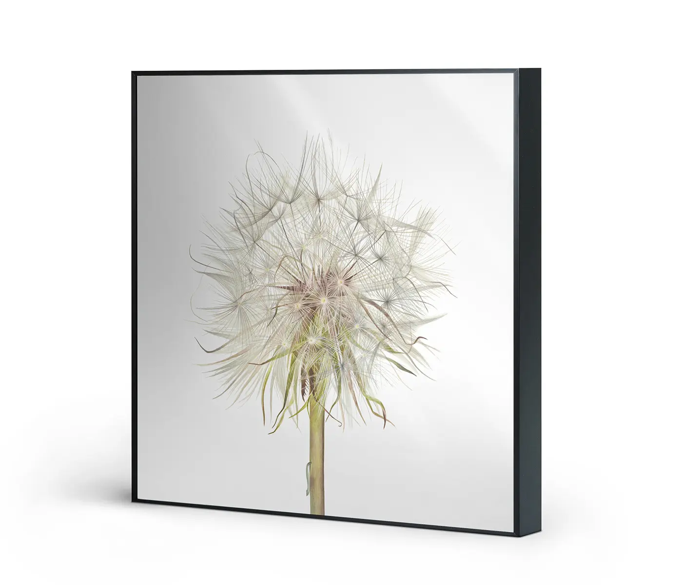 NC Design Group® - Allurex | NCD-SLU12-AL